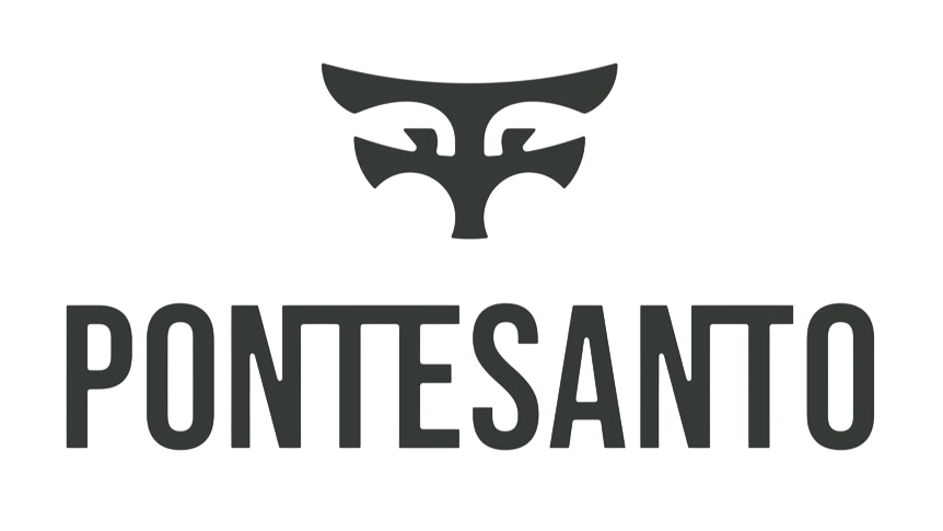 Ponte Santo