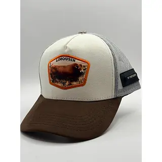 Gorra En Malla Premium, Costuras Y Excelentes Acabados
