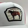 Gorra En Malla Premium, Costuras Y Excelentes Acabados