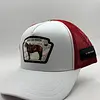 Gorra En Malla Premium, Costuras Y Excelentes Acabados