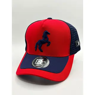 Gorra Agropecuaria En Placa Y Bordada, Excelentes Terminados