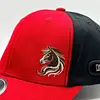 Gorra Agropecuaria En Placa Y Bordada, Excelentes Terminados