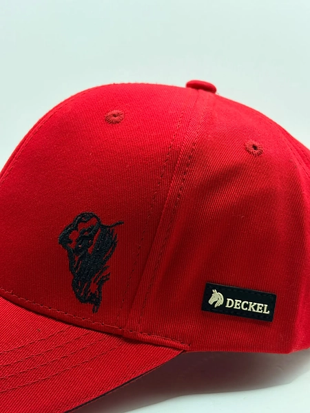 Gorra Agropecuaria En Placa Y Bordada, Excelentes Terminados