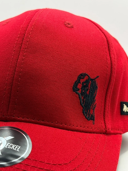 Gorra Agropecuaria En Placa Y Bordada, Excelentes Terminados